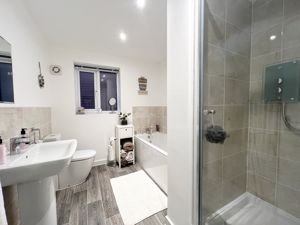 Photo 5- click for photo gallery